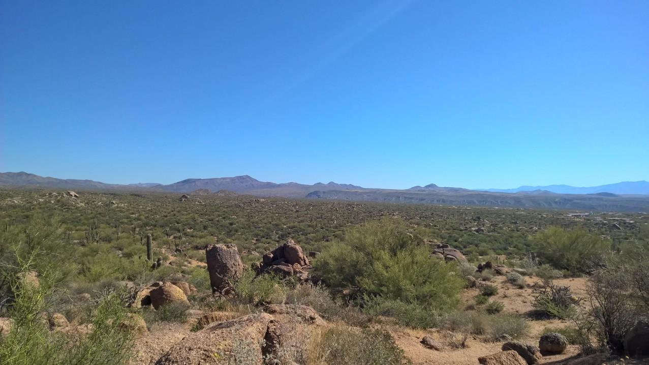 A wide view of a desert landscape featuring scattered boulders, cacti, and sparse vegetation under a clear blue sky. In the background, mountains rise against the horizon. The scene captures the arid beauty of the desert environment. Brown's Ranch to Granite Mountain mountain bike trail.