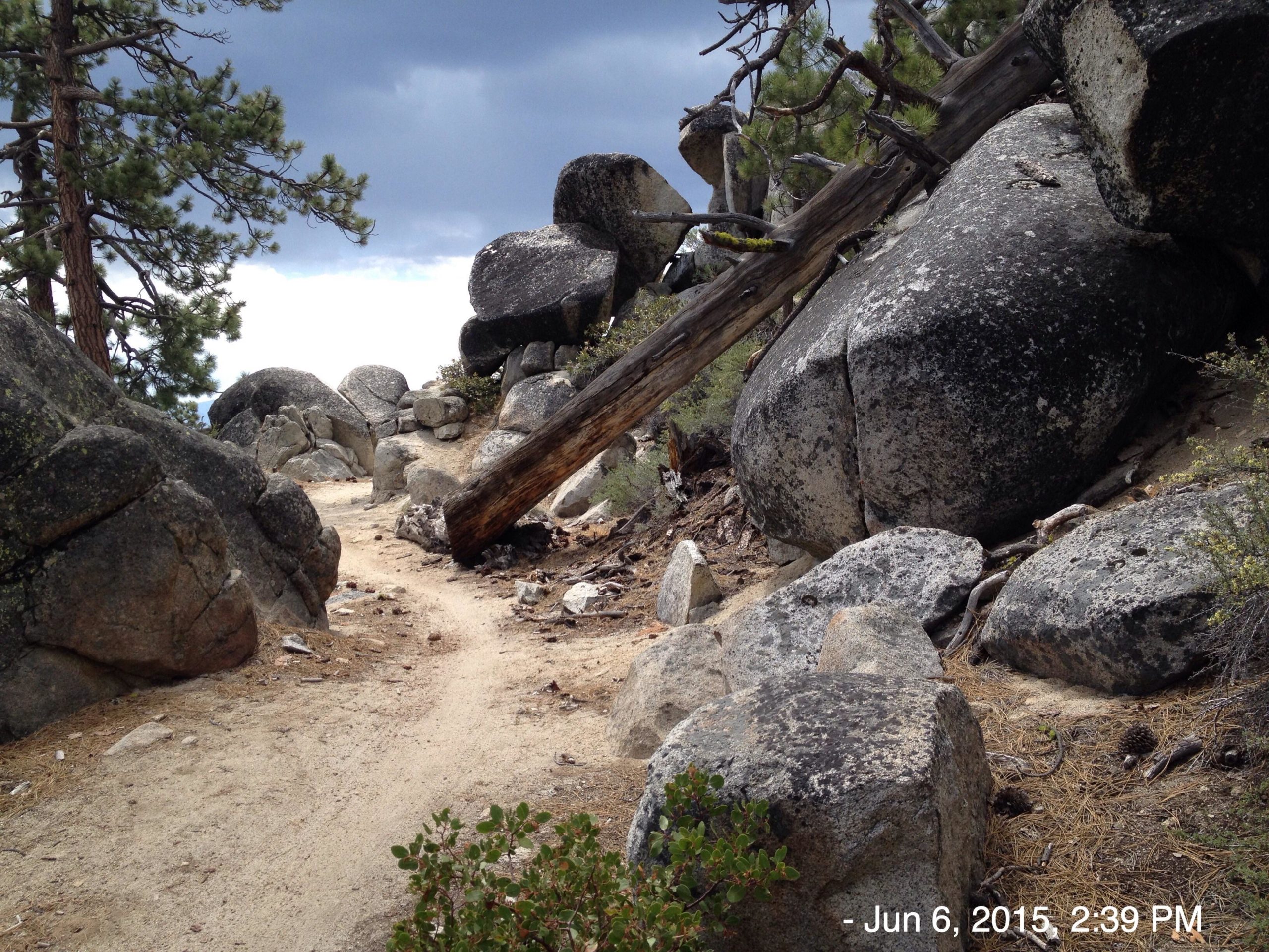 A scenic hiking path winding through a rocky landscape, flanked by large boulders and a fallen tree. Pine trees can be seen in the background under a cloudy sky. The path is sandy with some scattered pine needles and vegetation along the sides. Tahoe Rim Trail: Tahoe Meadows to Tunnel Creek Road / Flume Trail mountain bike trail.
