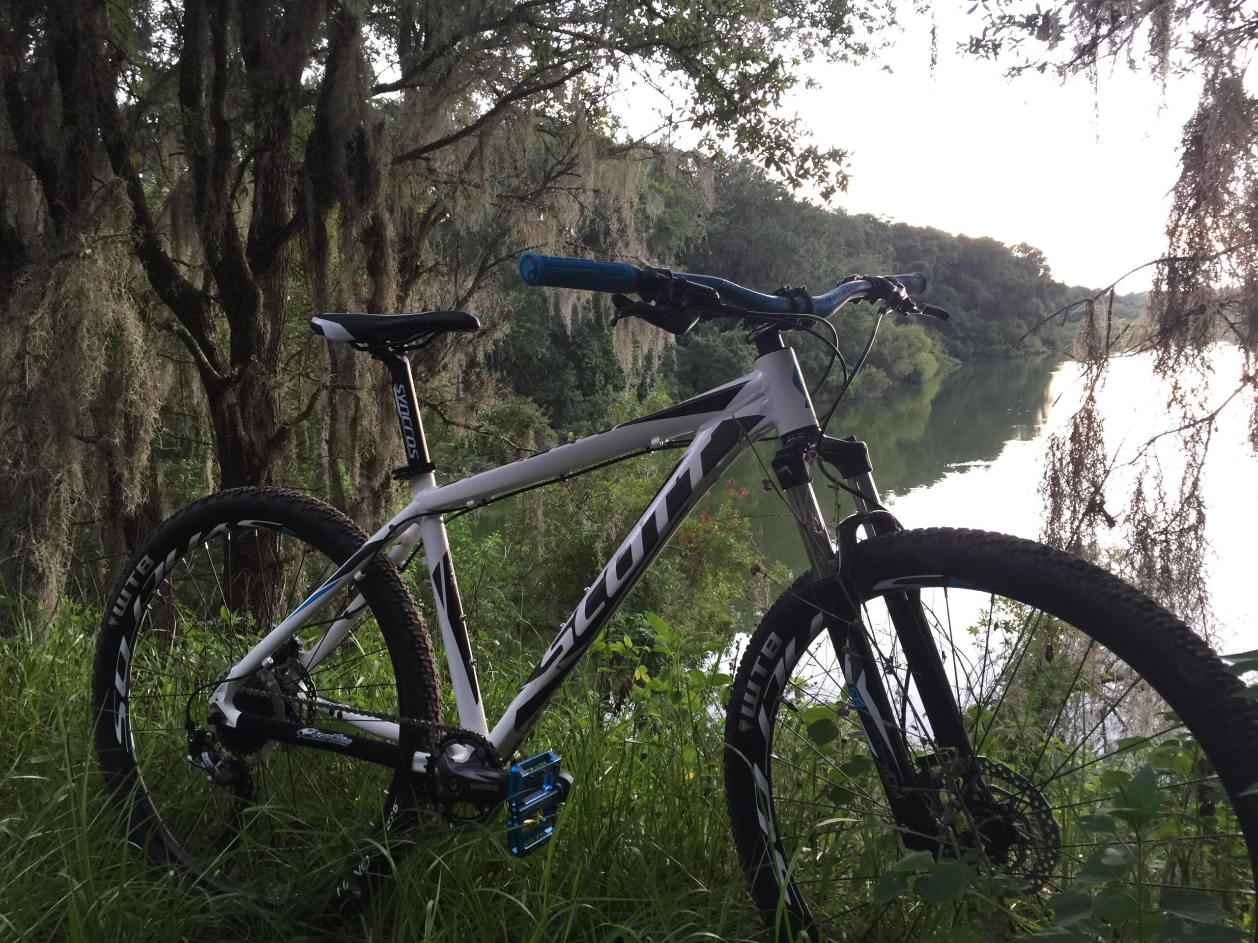 A white mountain bike rests on the grassy bank near a calm river, surrounded by lush greenery and trees draped with Spanish moss. The scene captures a tranquil outdoor environment, suggesting a perfect spot for cycling and enjoying nature. Balm Boyette Scrub Preserve mountain bike trail.
