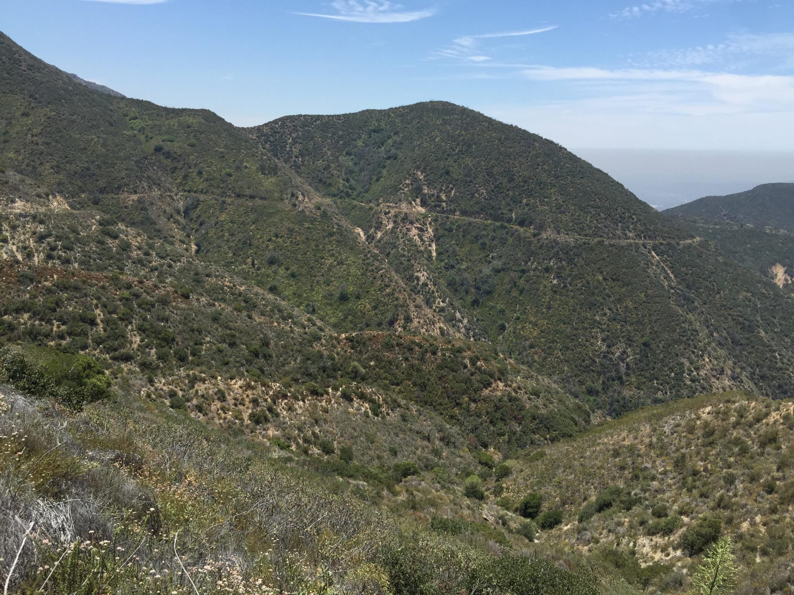A panoramic view of rolling green hills and rugged mountains under a clear blue sky, with patches of brush and varying vegetation covering the slopes. A winding road is visible along the hillside, suggesting access into the mountainous terrain. El Prieto mountain bike trail.
