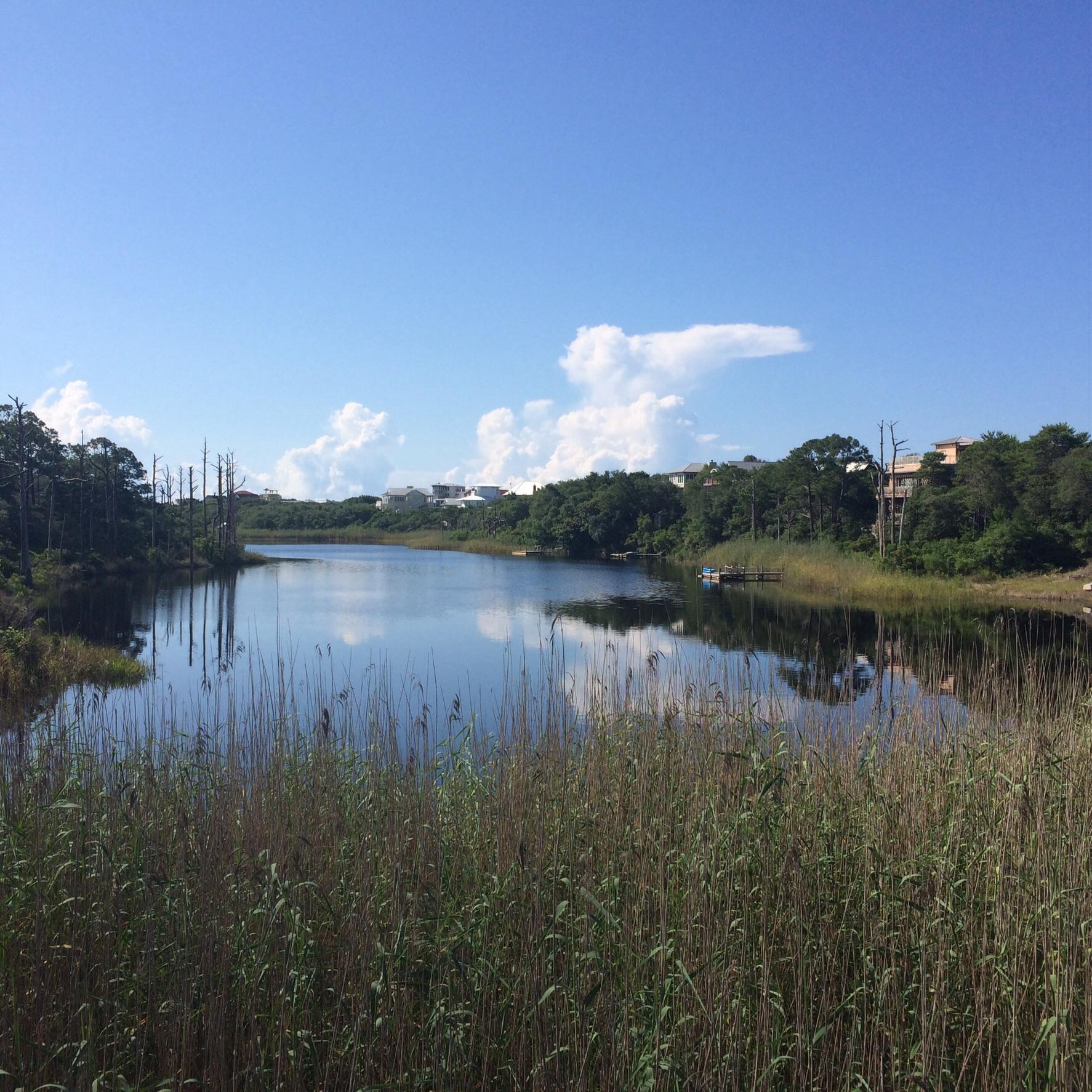 A calm lake surrounded by tall grasses and trees, under a clear blue sky with fluffy white clouds. Houses are faintly visible on the distant shoreline, reflecting gently in the tranquil water. Timpochee Trail mountain bike trail.