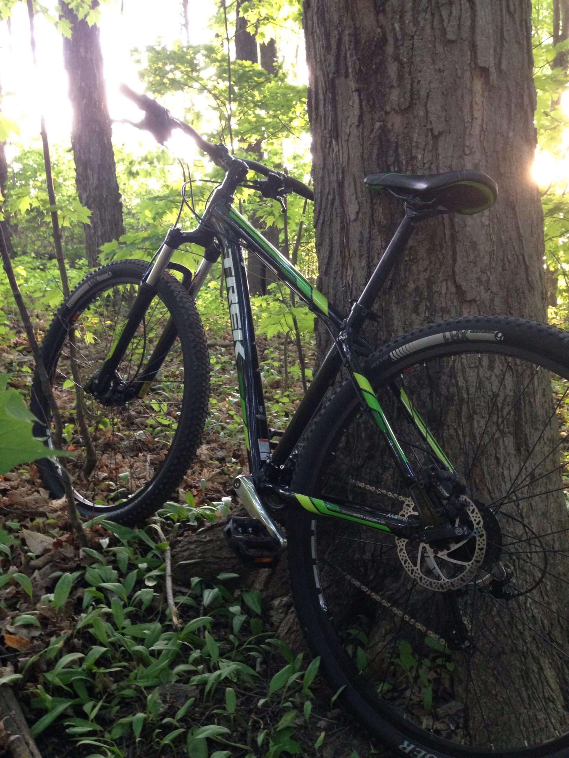 Trek Marlin 6: A mountain bike leaning against a tree in a wooded area, surrounded by green foliage and sunlight filtering through the leaves.