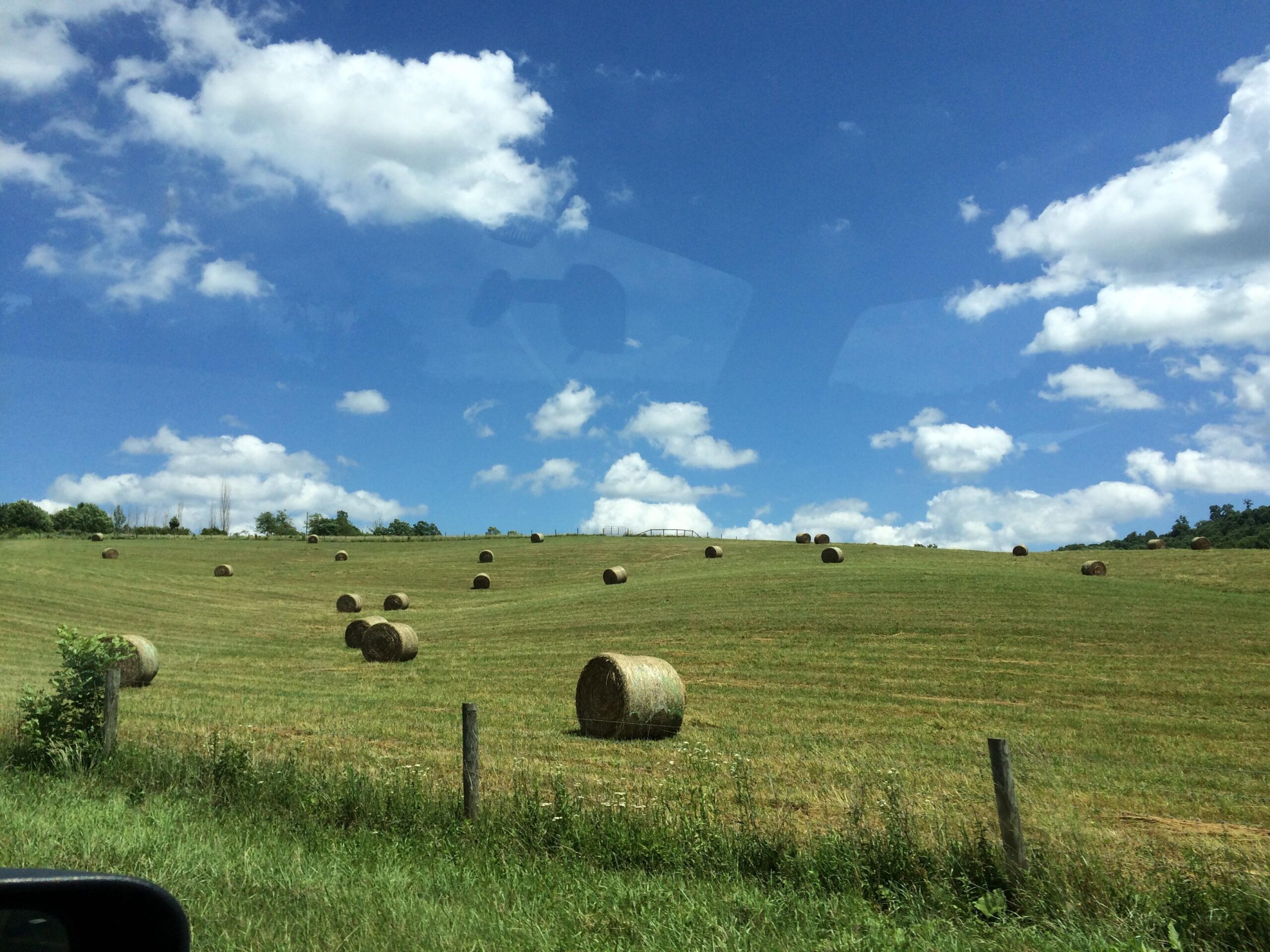 A scenic view of a grassy hillside dotted with round hay bales, under a bright blue sky with fluffy white clouds. The foreground features a fence and patches of greenery, while the landscape extends into the distance. Woolwine Trails [Shiners Revenge] mountain bike trail.