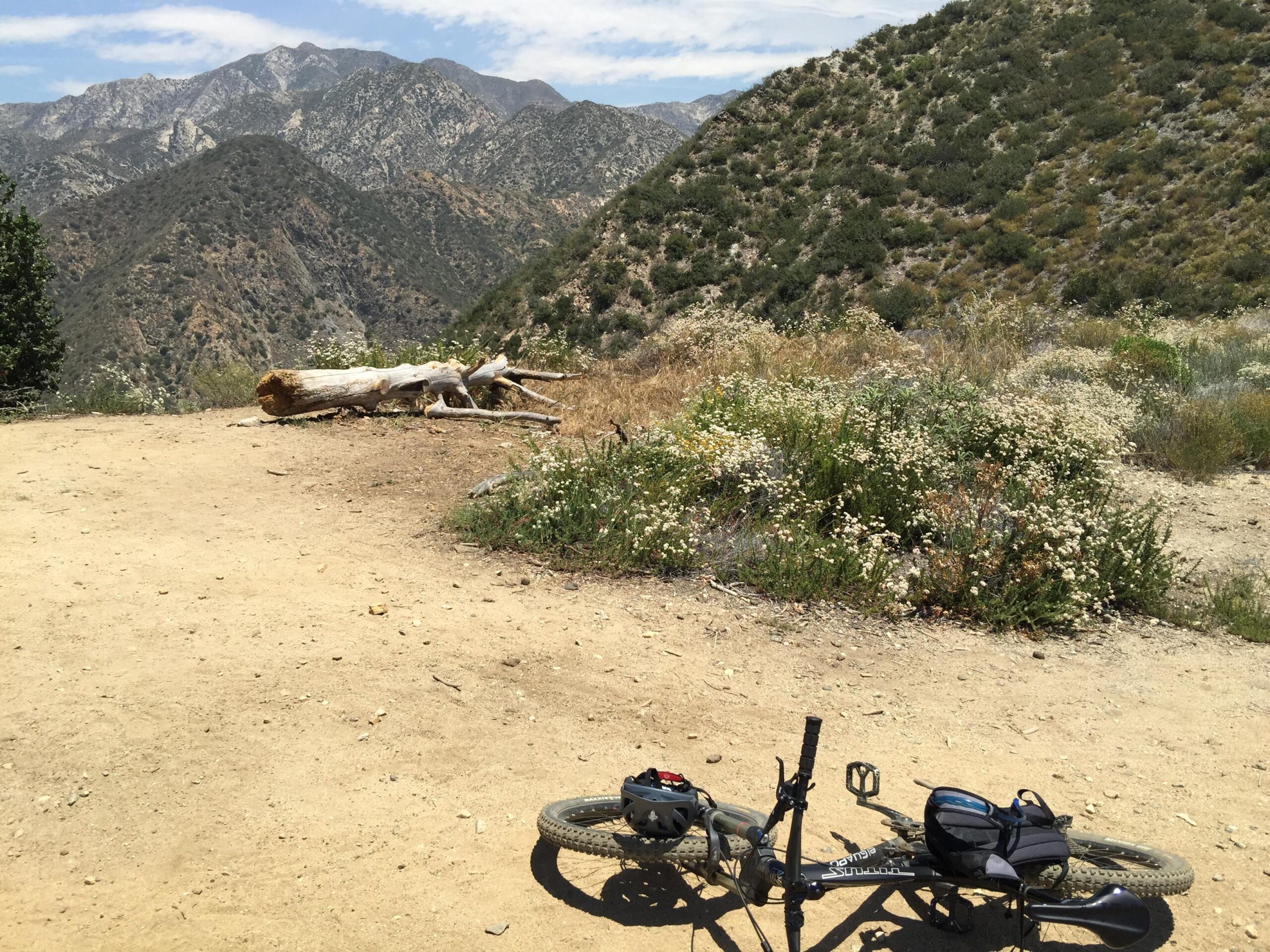 A mountain bike rests on a dirt trail surrounded by wildflowers and greenery, with a backdrop of rugged mountains and a blue sky with scattered clouds. A fallen log lies nearby, enhancing the natural scenery. El Prieto mountain bike trail.