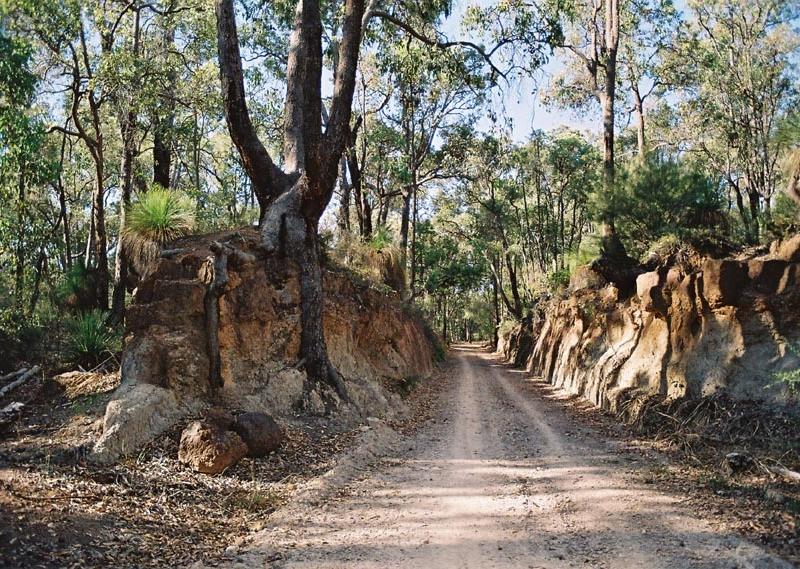 A dirt pathway surrounded by tall trees and rocky outcrop slopes, leading into a tranquil forested area. Sunlight filters through the leaves, casting dappled shadows on the ground. Kep Track mountain bike trail.