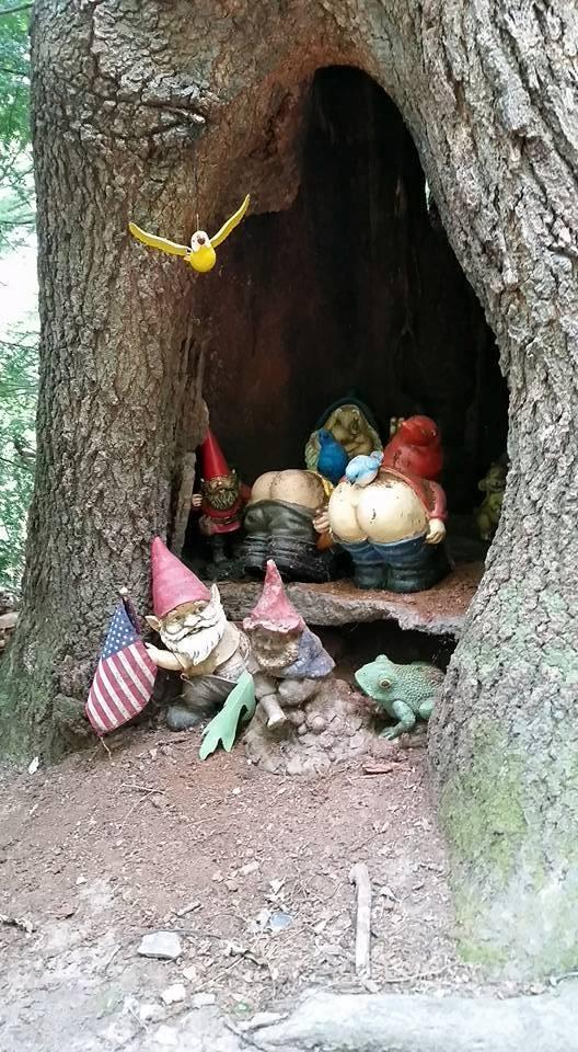 A cozy hollow in a tree adorned with various garden gnomes, including one holding a small American flag, surrounded by a frog and other playful decorations. A small yellow bird hovers above, adding a whimsical touch to the scene. Mohican mountain bike trail.