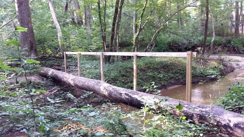 A small wooden bridge constructed from a fallen log crosses a shallow stream in a wooded area, surrounded by lush green foliage and trees. Capital Area Greenway Bent Creek Dr mountain bike trail.