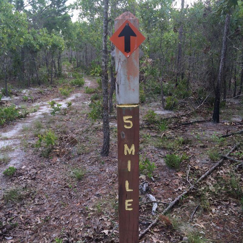 Wooden trail marker indicating a distance of 5 miles, with an orange arrow pointing upwards. The surrounding area features a dirt path and dense vegetation, typical of a forested environment. Eastern Lake Bike Trail mountain bike trail.