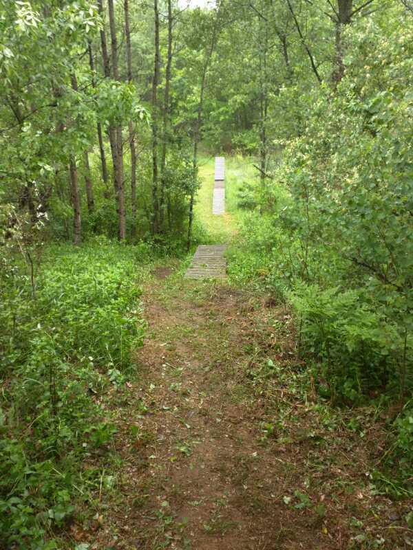 A narrow dirt path leading through lush greenery and trees, ending in a wooden bridge that crosses a small stretch of land in a forested area. Refuge mountain bike trail.
