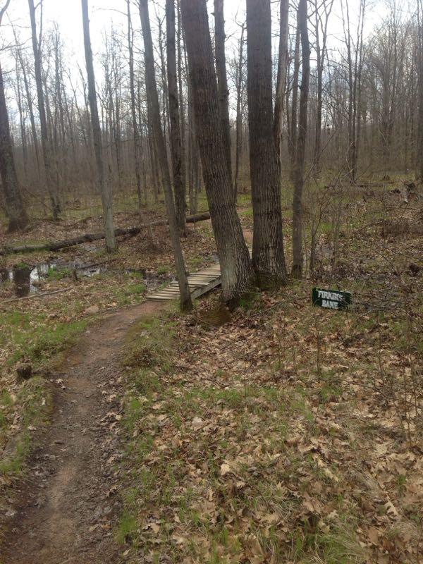 A dirt path winding through a deciduous forest, flanked by bare trees in early spring. A small wooden bridge crosses a stream, and a sign labeled "FRANK'S BAY" is visible nearby, indicating a designated area or feature in the natural setting. The ground is covered with brown leaves and scattered greenery. Nine Mile mountain bike trail.