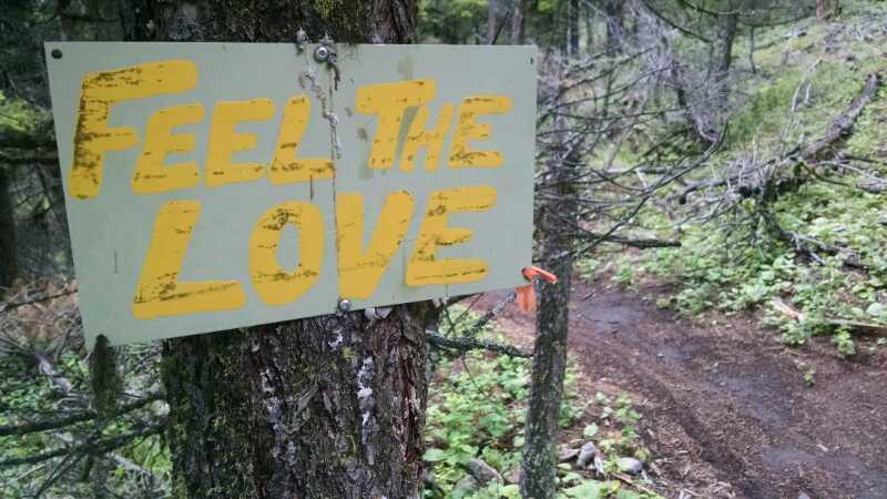 A colorful sign that reads "Feel The Love" is attached to a tree in a forested area, surrounded by green foliage and a dirt path. Smith Creek mountain bike trail.