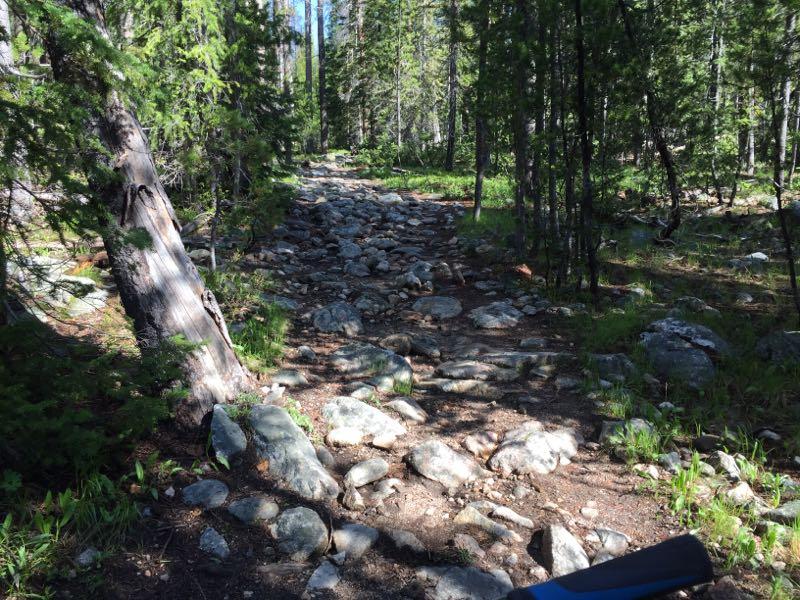 Rocky hiking trail winding through a forest, surrounded by green foliage and tall trees. The path is uneven and covered with scattered rocks, indicating a rugged terrain. Elk Meadows Loop mountain bike trail.