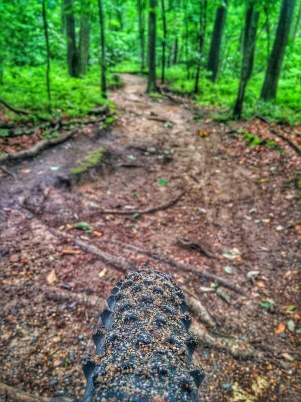 Close-up view of a bicycle tire covered in dirt and sand, with a winding forest trail visible in the background, surrounded by lush green trees and foliage. Hartshorne Woods Park mountain bike trail.