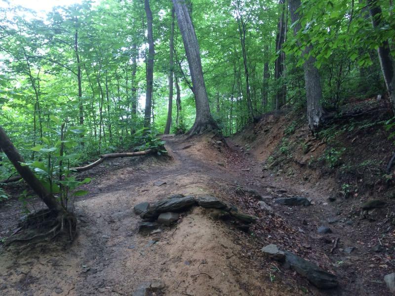 A winding dirt path through a dense forest, surrounded by tall green trees and underbrush. The path is uneven, with some rocky areas and natural roots visible along the edges, creating a sense of adventure in a serene outdoor setting. Wissahickon Valley Park mountain bike trail.