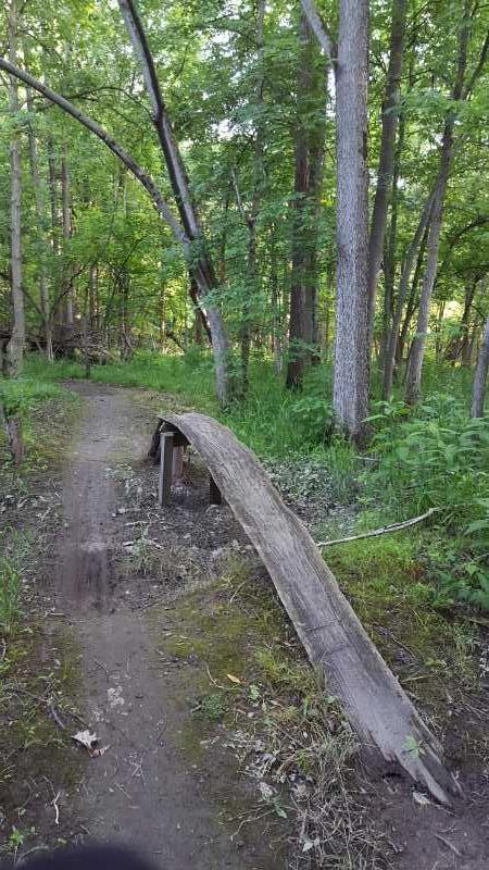 A curved wooden bridge over a small path in a lush green forest, surrounded by tall trees and dense foliage. The trail is dirt with patches of grass and moss. Jermain Park mountain bike trail.