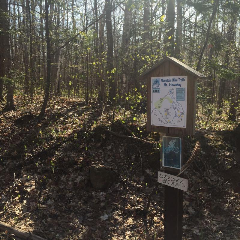 Signpost marking the entrance to mountain bike trails at Mt. Ashwabay, featuring a map of the trails and a cycling icon, surrounded by a forest landscape with budding leaves and scattered foliage. Mt Ashwabay Singletrack mountain bike trail.
