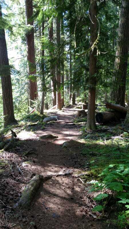 A narrow, winding path through a lush green forest filled with tall trees and sunlight filtering through the foliage. The ground is covered in a mix of dirt and small stones, with moss and ferns lining the edges. Skookum Flats mountain bike trail.