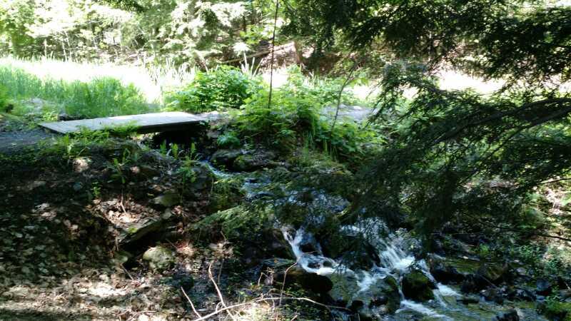 A tranquil scene depicting a small stream flowing through a lush, green forest. In the foreground, a wooden footbridge crosses over the stream, surrounded by rocks, ferns, and other greenery. Sunlight filters through the trees, illuminating the serene landscape. Noquemanon Trails Network: South Marquette Trails mountain bike trail.