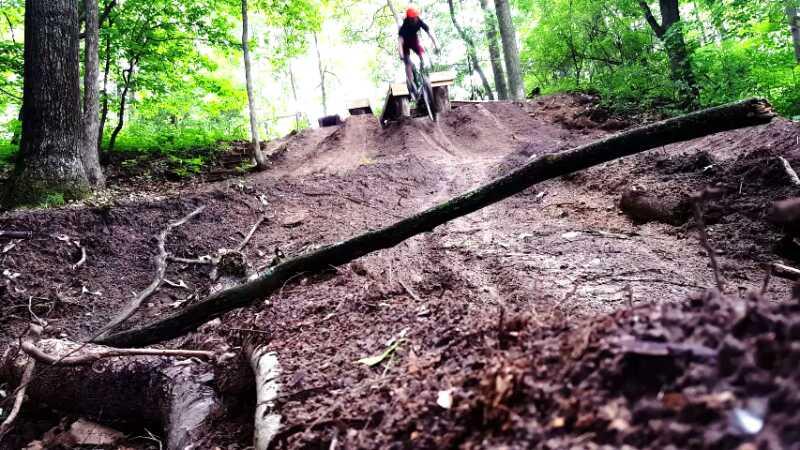 A mountain biker in a red helmet is mid-jump on a dirt ramp in a forested area, surrounded by trees and greenery. The ground is rugged with branches and roots visible, showcasing a bike trail in a natural setting. Cannonsburg Ski Area mountain bike trail.