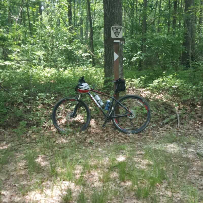 A mountain bike parked next to a trail marker in a dense wooded area, with lush green foliage and scattered leaves on the ground. The bike has a helmet and a water bottle attached. Cedarville State Forest mountain bike trail.