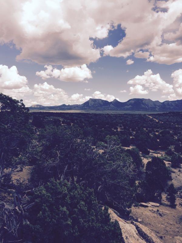 A panoramic view of a rugged landscape featuring rolling hills and distant mountains under a sky filled with fluffy, white clouds. The foreground is lush with green shrubbery and trees, while the horizon showcases a range of peaks, creating a serene and picturesque outdoor scene. Phil's World mountain bike trail.