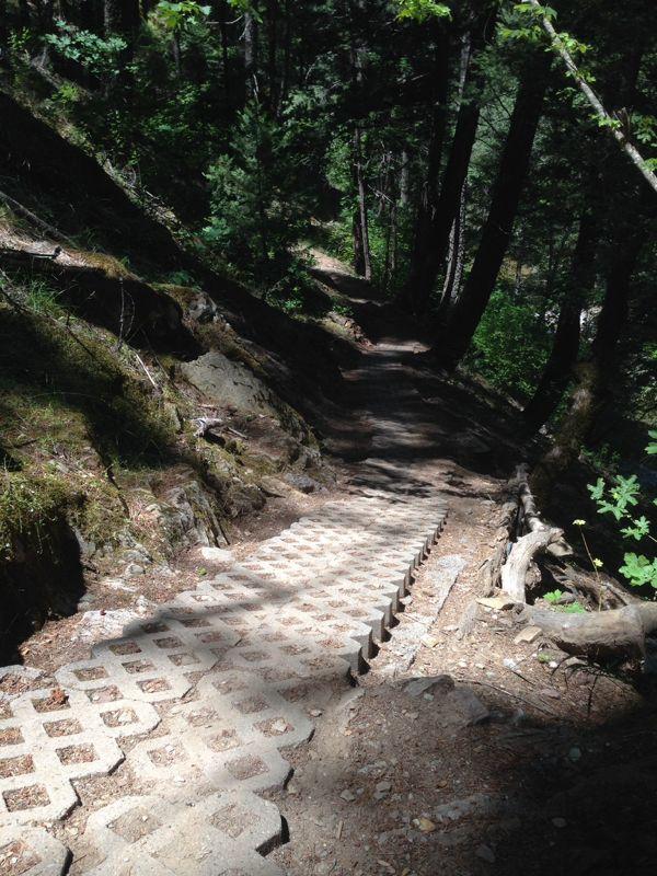 A winding forest trail with a stepped pathway made of concrete blocks, surrounded by lush greenery and tall trees. Sunlight filters through the leaves, illuminating the path that leads deeper into the woods. Downieville Downhill mountain bike trail.