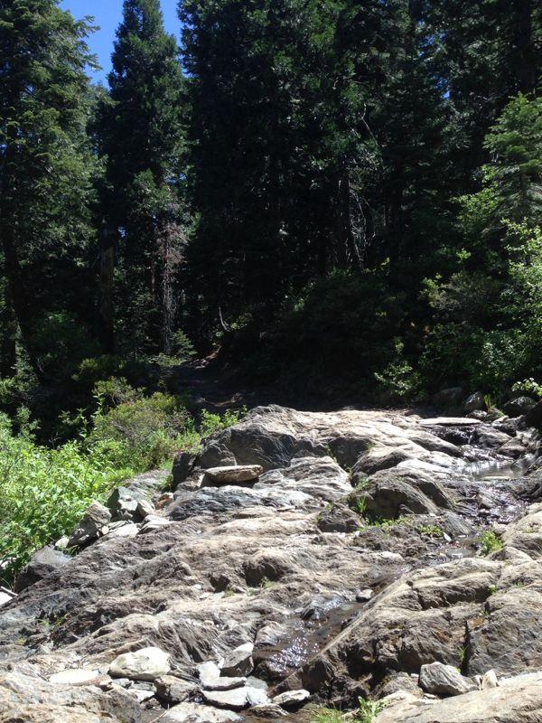 A rocky stream bed surrounded by dense green forest. Sunlight filters through the trees, illuminating the rocks and foliage. A narrow path visible in the background suggests a hiking trail through the natural landscape. Downieville Downhill mountain bike trail.