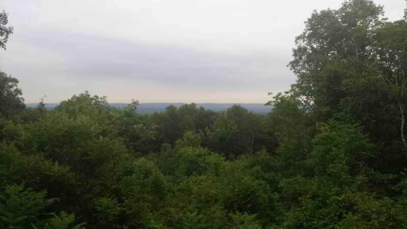 A scenic view of a lush green landscape with dense trees in the foreground and a distant horizon under a cloudy sky, suggesting a peaceful natural setting. Tourne Park mountain bike trail.