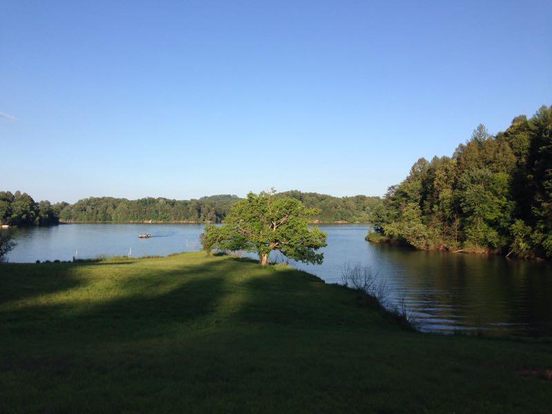A serene landscape featuring a calm lake surrounded by lush greenery. In the foreground, a grassy area leads to the water's edge, where a lone tree stands. The lake reflects the clear blue sky, while wooded hills can be seen in the background. A small boat can be spotted on the water, enhancing the tranquil atmosphere of the scene. Kerr Scott Trails mountain bike trail.