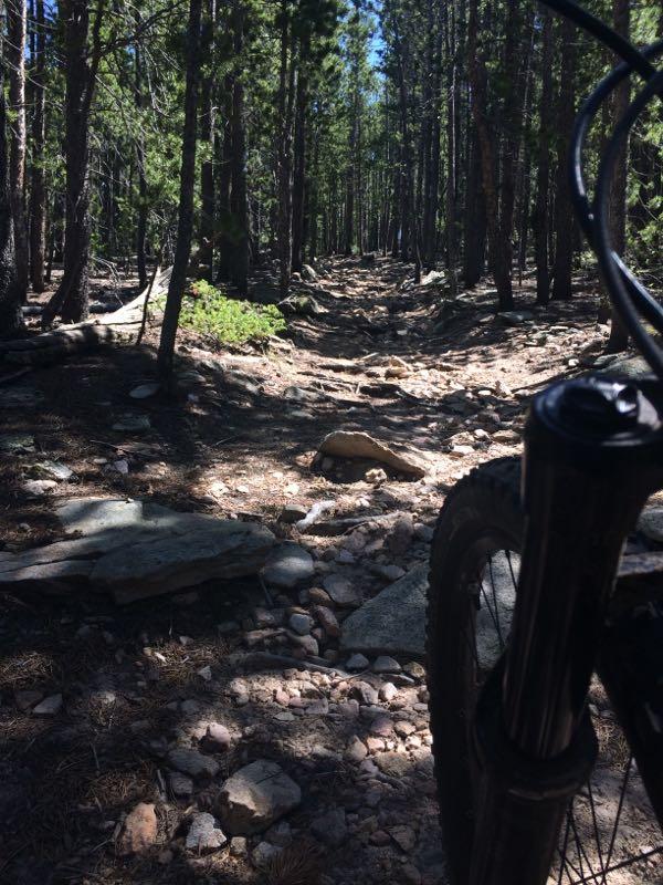 A rocky mountain bike trail winding through a dense forest, viewed from the perspective of a cyclist. The path features scattered stones and sunlight filtering through the tall trees. Golden Gate Canyon State Park mountain bike trail.