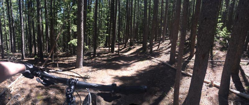 A close-up view of a mountain bike handlebar with a hand gripping it, positioned on a dirt trail winding through a dense forest of tall trees. Sunlight filters through the foliage, creating a dappled light effect on the ground. The trail ahead curves gently away to the right, inviting exploration. Golden Gate Canyon State Park mountain bike trail.