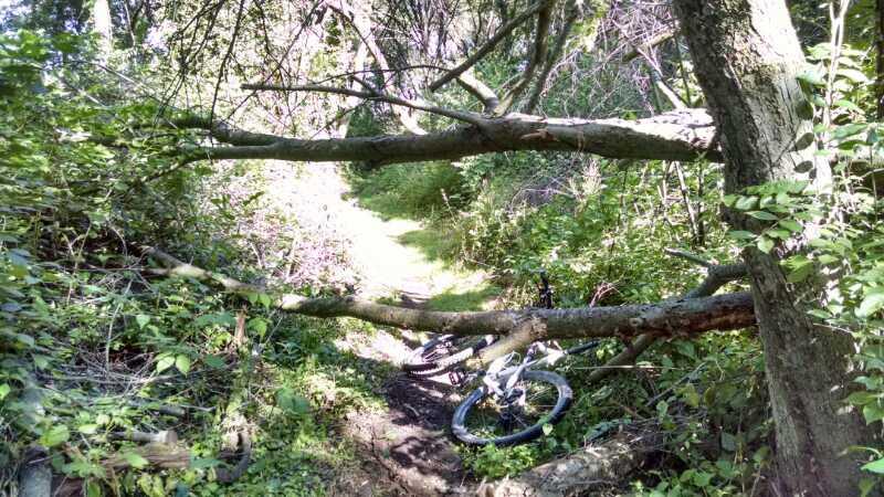 A narrow, overgrown trail surrounded by greenery with fallen tree branches blocking the path. A bicycle is partially visible on the ground beside the trail. The Dump mountain bike trail.
