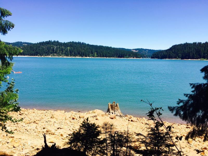 A scenic view of a tranquil lake surrounded by lush green forests. The clear blue water reflects the bright sky, while a small kayak can be seen in the distance. A sandy shore with rocky formations and tree stumps is in the foreground, adding to the natural beauty of the landscape. Jenkinson Lake Loop mountain bike trail.