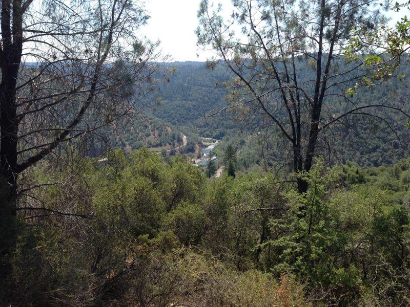 A scenic view of a lush, green valley surrounded by hills, with a river winding through the landscape. Tall trees frame the foreground, showcasing a variety of foliage. The sun shines brightly, illuminating the vibrant colors of the vegetation. Stagecoach / Flood / Manzanita mountain bike trail.