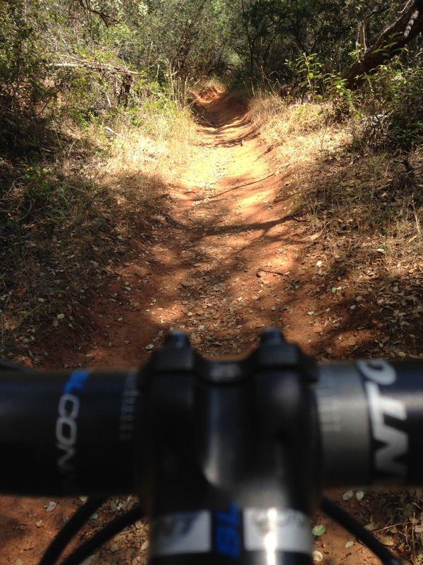 A view of a dirt biking trail taken from the perspective of the handlebars, showing a winding path through dense greenery and sunlight filtering through the trees. The trail is mostly dry and surrounded by earthy tones and scattered leaves. Stagecoach / Flood / Manzanita mountain bike trail.
