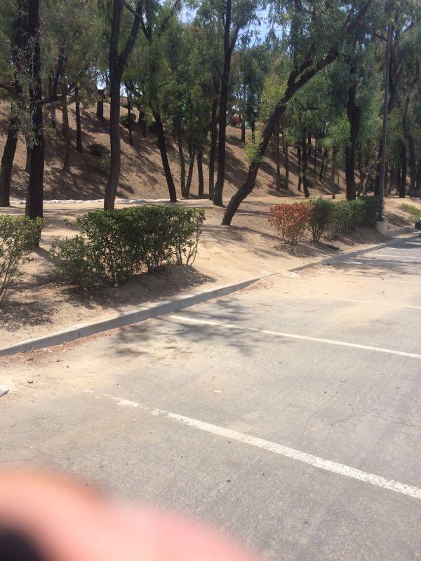 A view of a parking lot with a dirt path leading up a small hill. The area is surrounded by tall trees and shrubs, with some sections of grass visible on the hillside. Sunlight casts shadows on the ground, indicating a clear, sunny day. Fullerton Loop mountain bike trail.