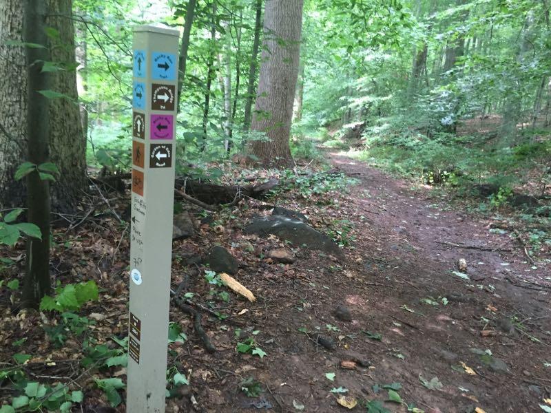 Trail signpost in a wooded area, featuring various directional markings in blue, brown, and pink. The path is surrounded by trees and greenery, indicating a hiking or nature trail. Brandywine State Park mountain bike trail.