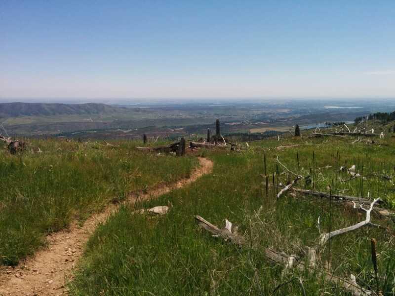A scenic view from a hillside trail, featuring a winding dirt path surrounded by lush green grass and scattered logs. In the distance, rolling hills and valleys stretch under a clear blue sky, creating a picturesque landscape. Ginny Trail mountain bike trail.