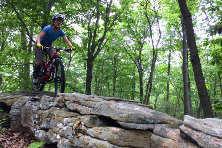 A mountain biker in a helmet and protective gear rides confidently over a large rock formation in a lush green forest. The scene captures the excitement of outdoor adventure and the beauty of nature.