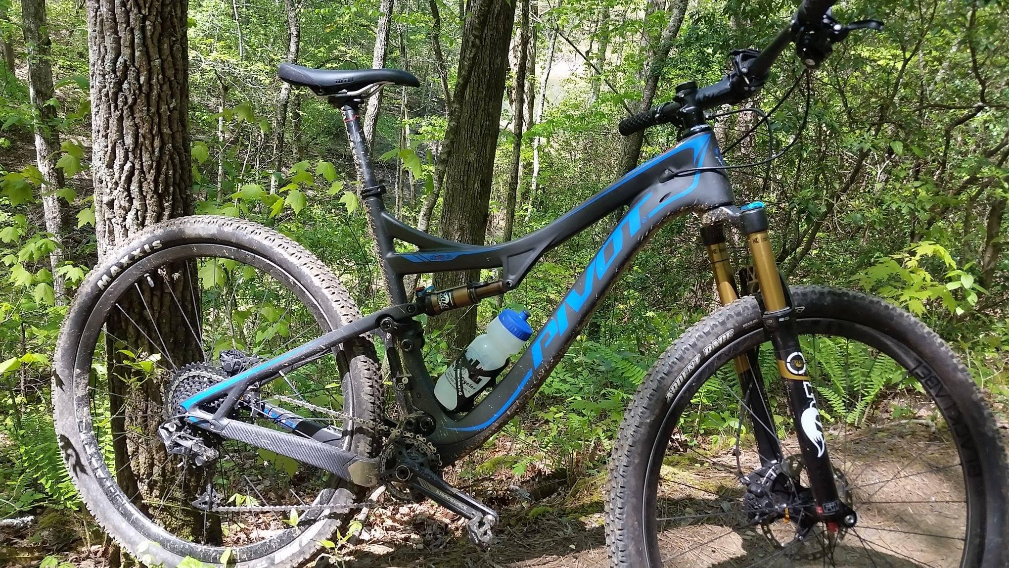 Pivot Mach 429SL Carbon: A mountain bike leans against a tree in a lush green forest. The bike features a black and blue design, with a water bottle mounted in the frame. Sunlight filters through the trees, highlighting the dirt on the tires and frame, indicating recent off-road use.