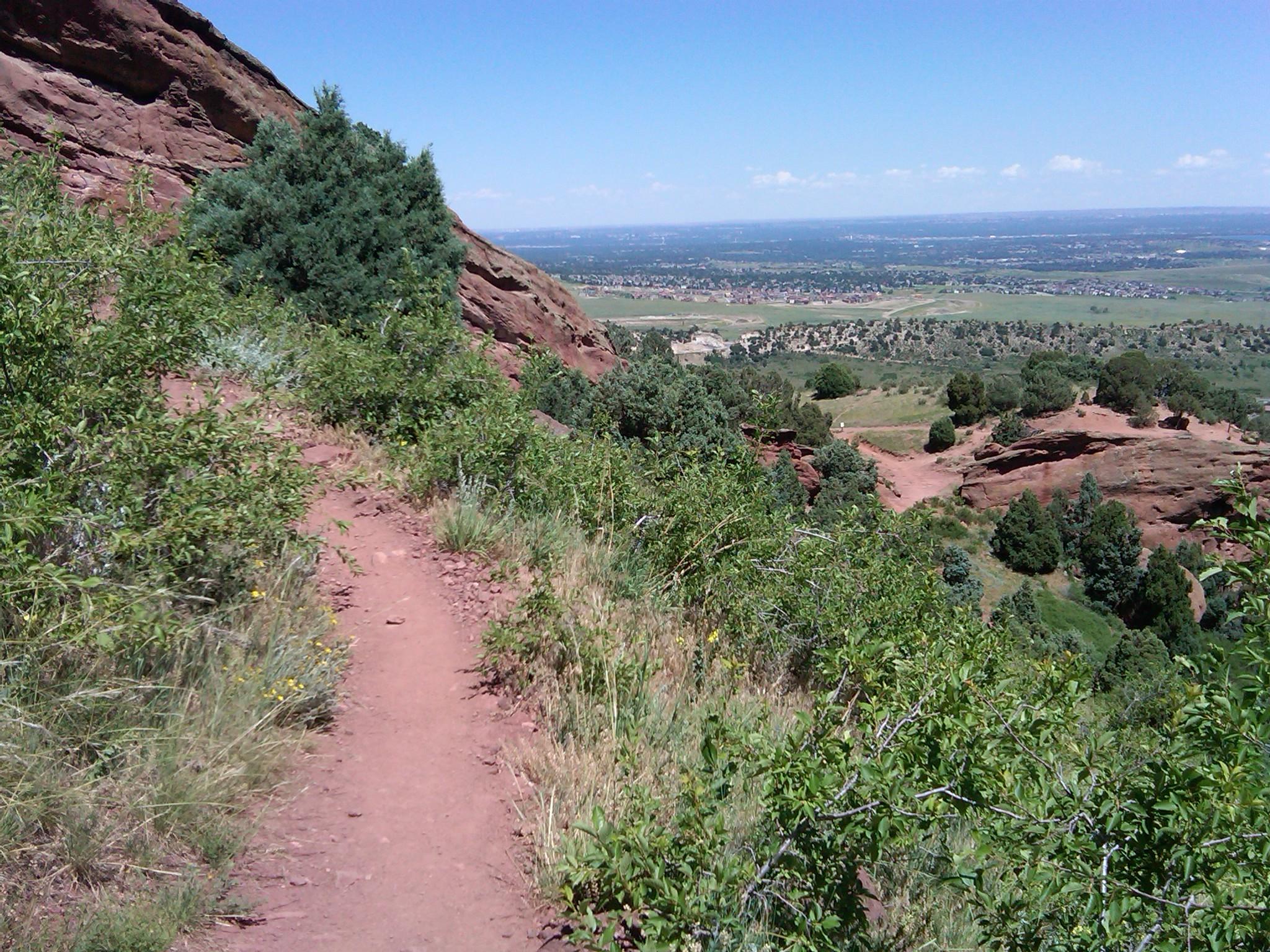 A winding dirt path leads through lush greenery and rocky terrain, offering a scenic view of rolling hills and distant landscapes under a clear blue sky. Red Rocks / Dakota Ridge mountain bike trail.