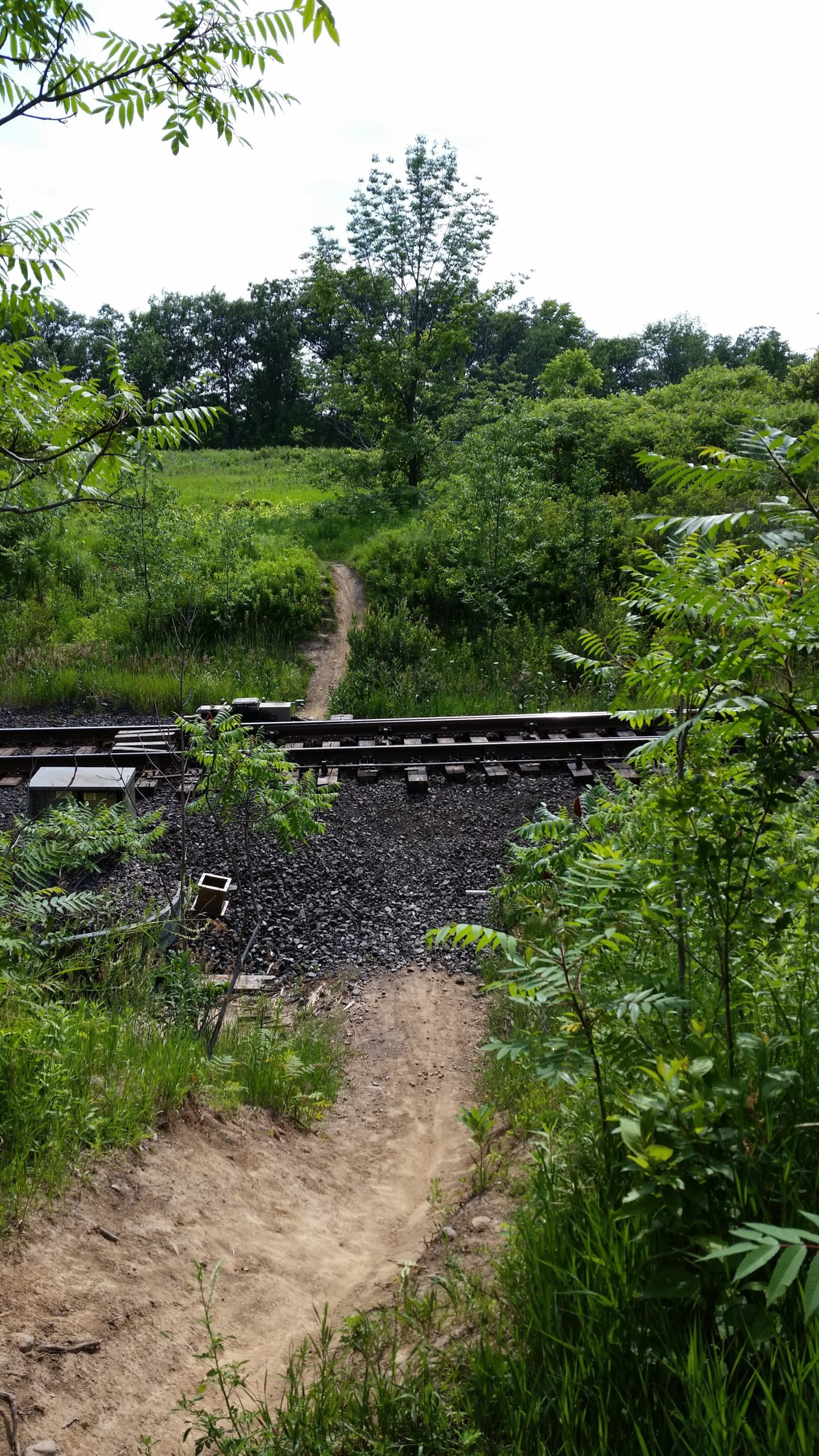 A dirt path leads through lush greenery towards railroad tracks, surrounded by trees and tall grass under a partially cloudy sky. Bronte Creek North Trail mountain bike trail.