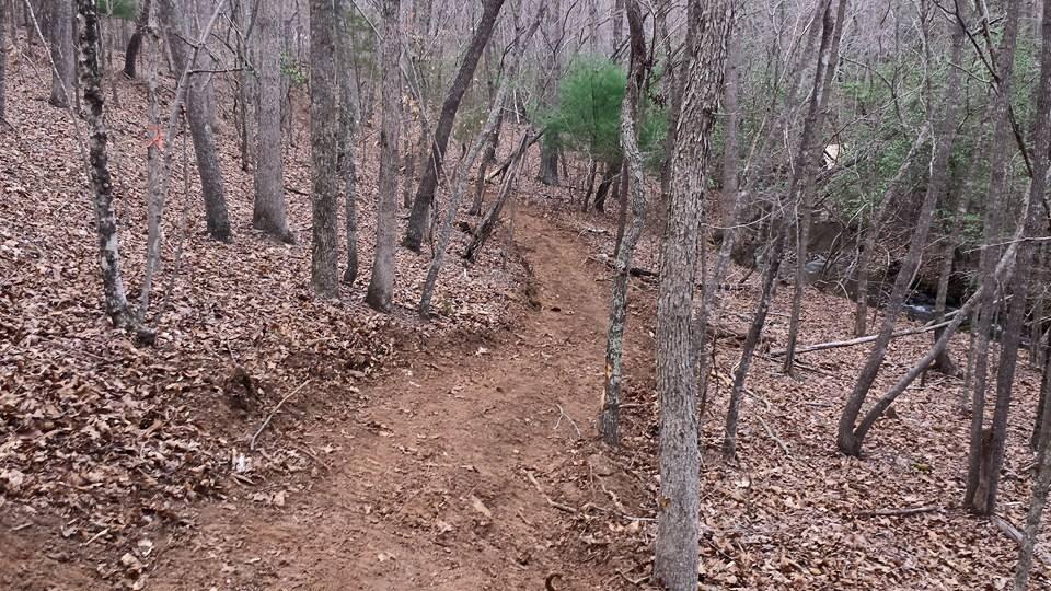 A winding dirt trail through a wooded area, with bare trees on either side and a scattering of fallen leaves on the ground. The trail leads deeper into the forest, showcasing the natural landscape in a serene, quiet setting. Mountain Laurel Trails mountain bike trail.