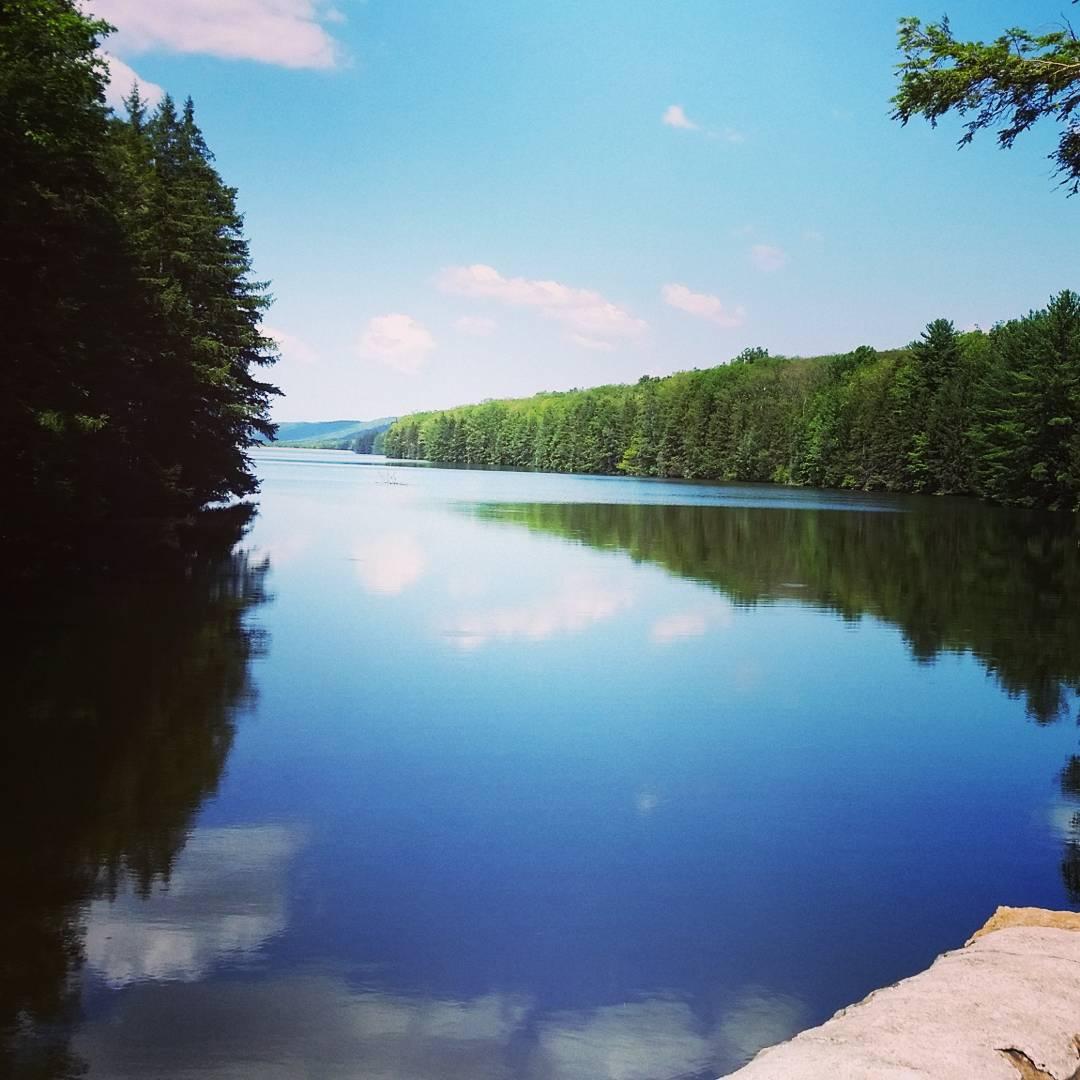 A serene landscape featuring a calm lake surrounded by lush green trees under a clear blue sky. The water reflects the trees and clouds, creating a tranquil and picturesque scene. Roaring Creek Watershed mountain bike trail.