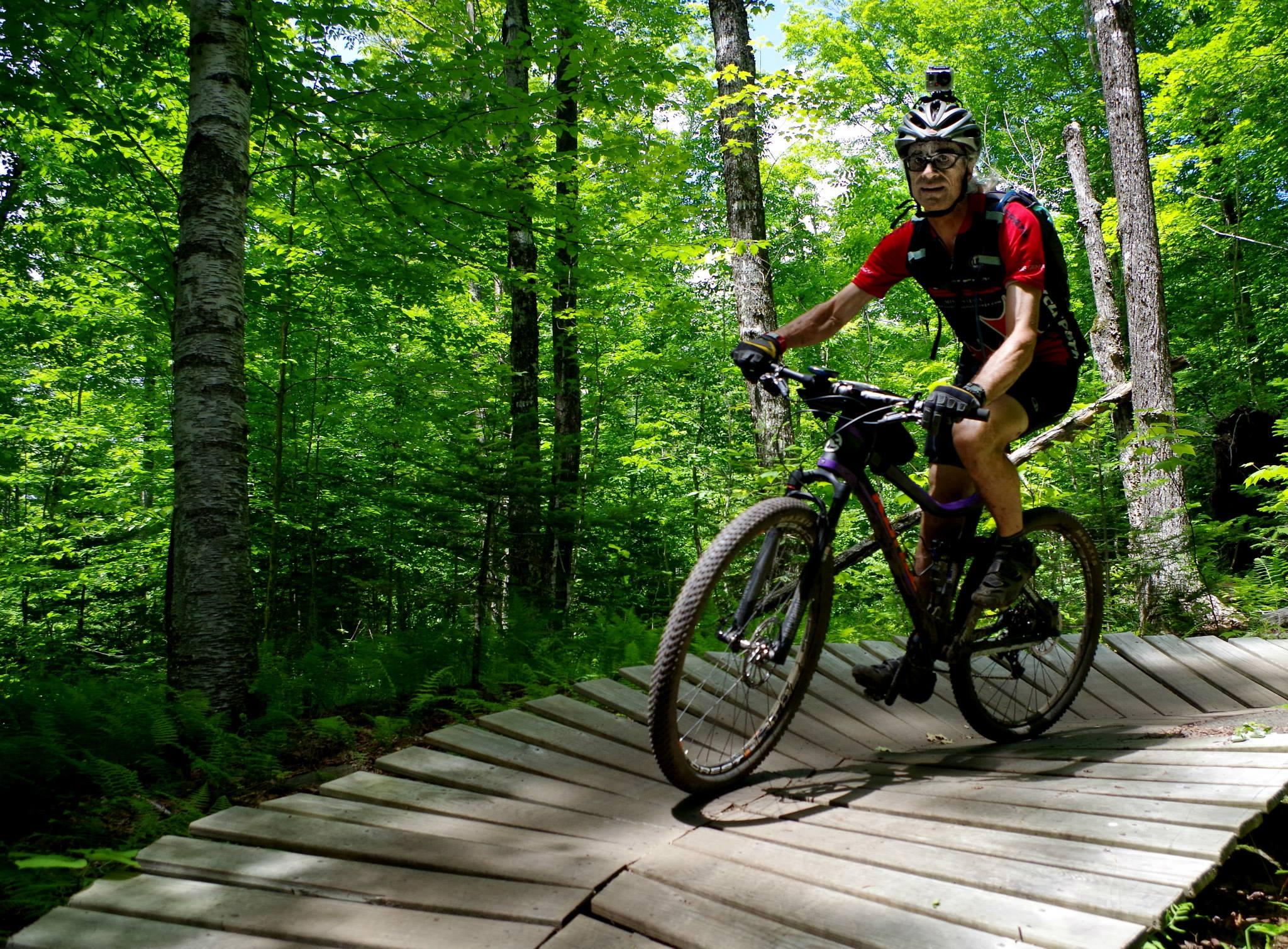 A mountain biker riding on a wooden trail through a lush green forest, surrounded by tall trees and vibrant foliage. The cyclist wears a helmet and a cycling outfit, showcasing an active outdoor lifestyle. Kingdom Trails mountain bike trail.