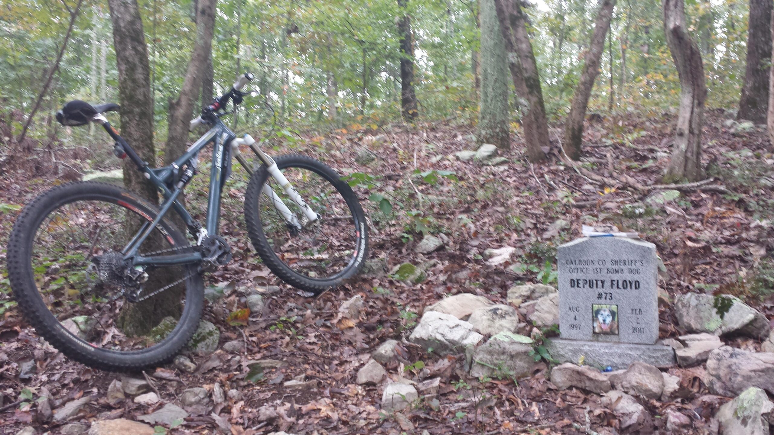 A mountain bike resting against a tree in a wooded area, next to a gray stone memorial marker for Deputy Floyd, a bomb detection dog, with a photo and memorial details on it. The scene features fallen leaves and rocks on the forest floor. Coldwater Mountain mountain bike trail.
