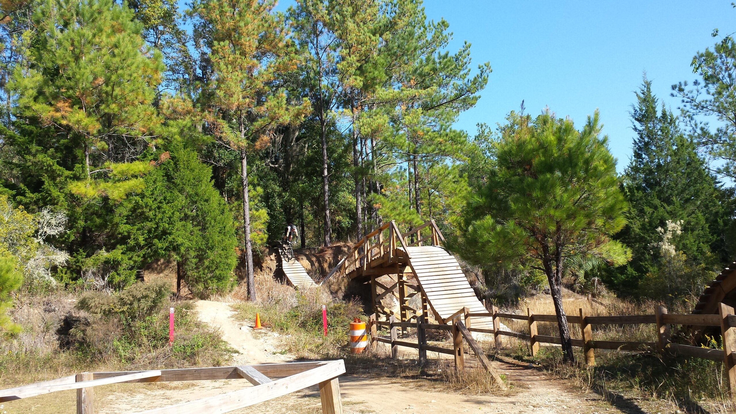 A wooden bridge in a forested area, surrounded by tall trees and clear blue skies. A trail leads to the bridge, and a cyclist can be seen riding over it. The scene features natural vegetation and a fenced path, conveying an outdoor recreational environment. Santos mountain bike trail.