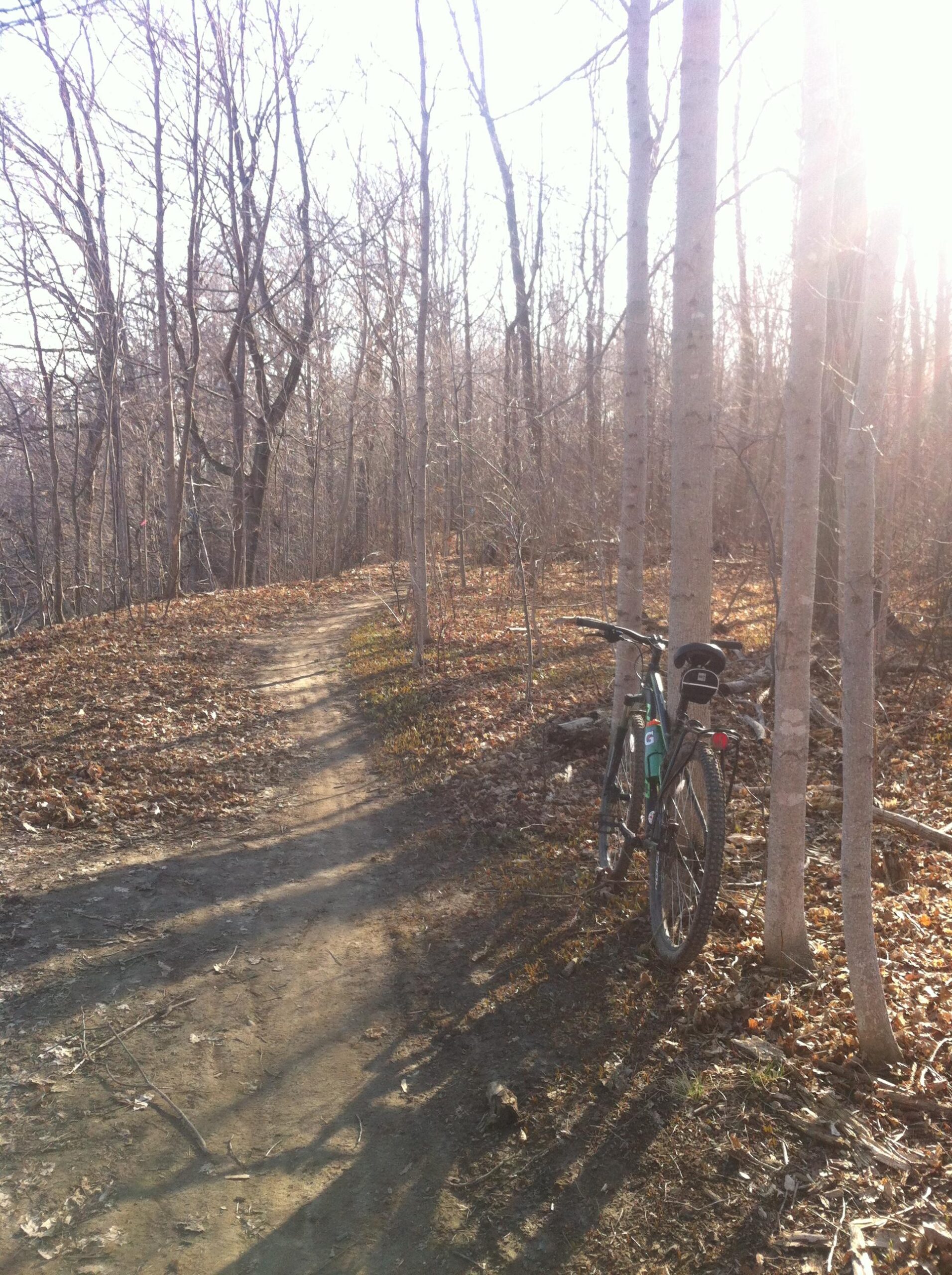 Norco Storm: A mountain bike is leaning against a tree along a dirt path in a wooded area. The landscape features bare trees and scattered leaves, suggesting early spring or late autumn. Sunlight filters through the branches, creating a warm glow on the trail.