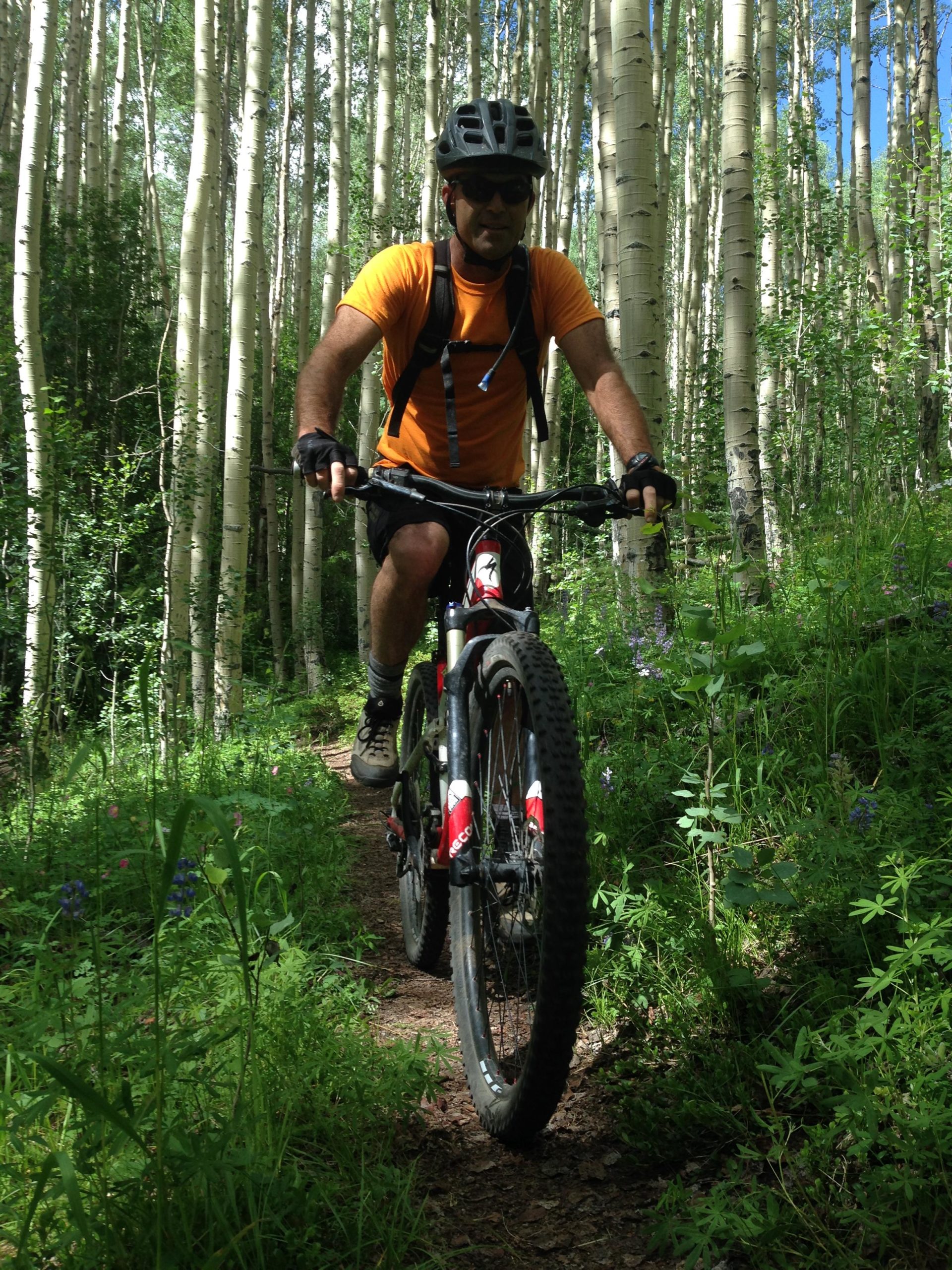 A mountain biker wearing a helmet and sunglasses rides along a narrow dirt trail surrounded by tall aspen trees and green foliage. The cyclist is dressed in an orange shirt and black shorts, with a backpack and gloves, showcasing an active outdoor scene. Colorado Trail: Clear Creek Thd to Lake View CG / Hwy 82 mountain bike trail.