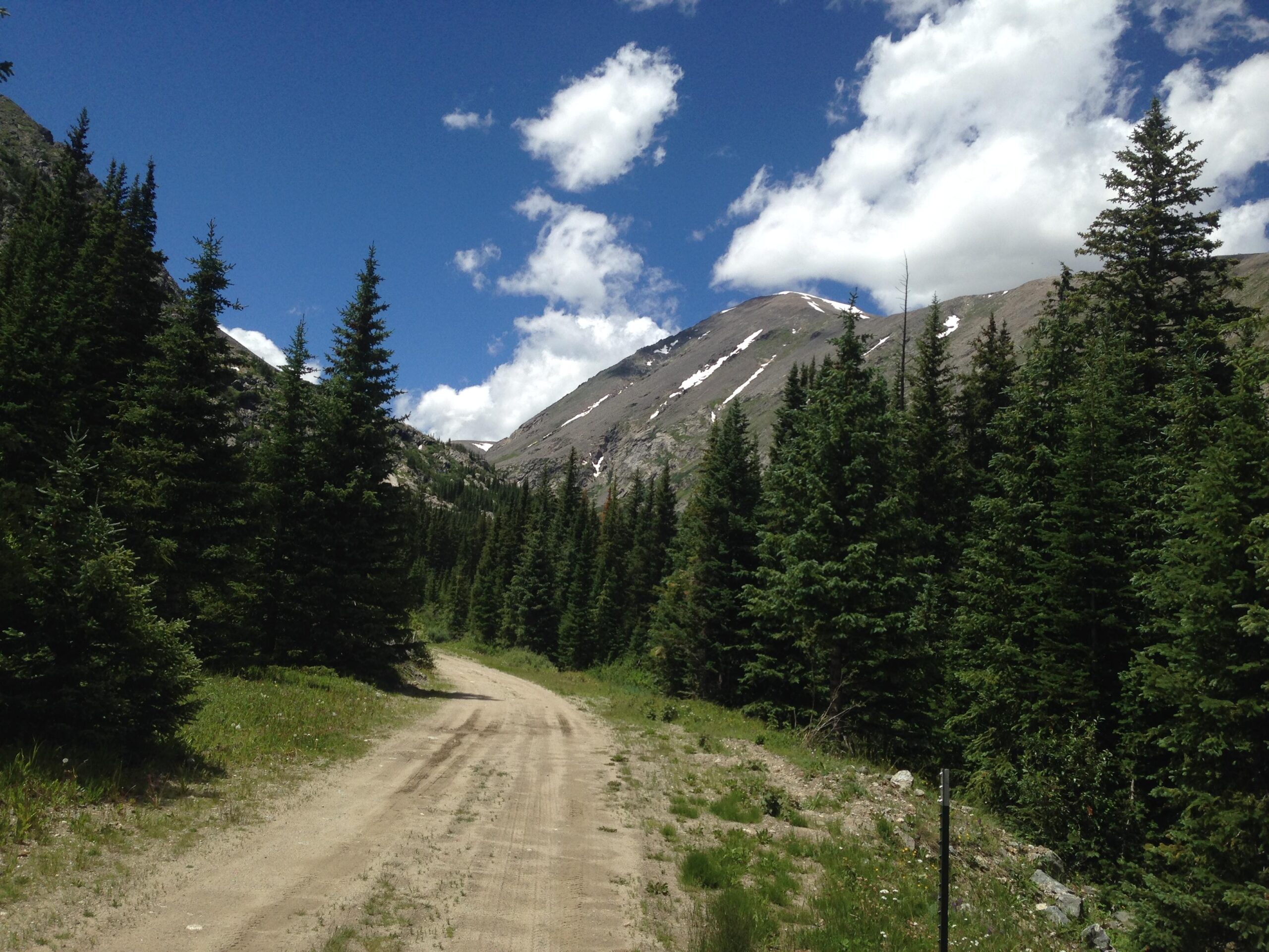 A dirt path winding through a lush forest of evergreen trees, with a backdrop of majestic mountains under a bright blue sky adorned with scattered white clouds. Road #805 mountain bike trail.